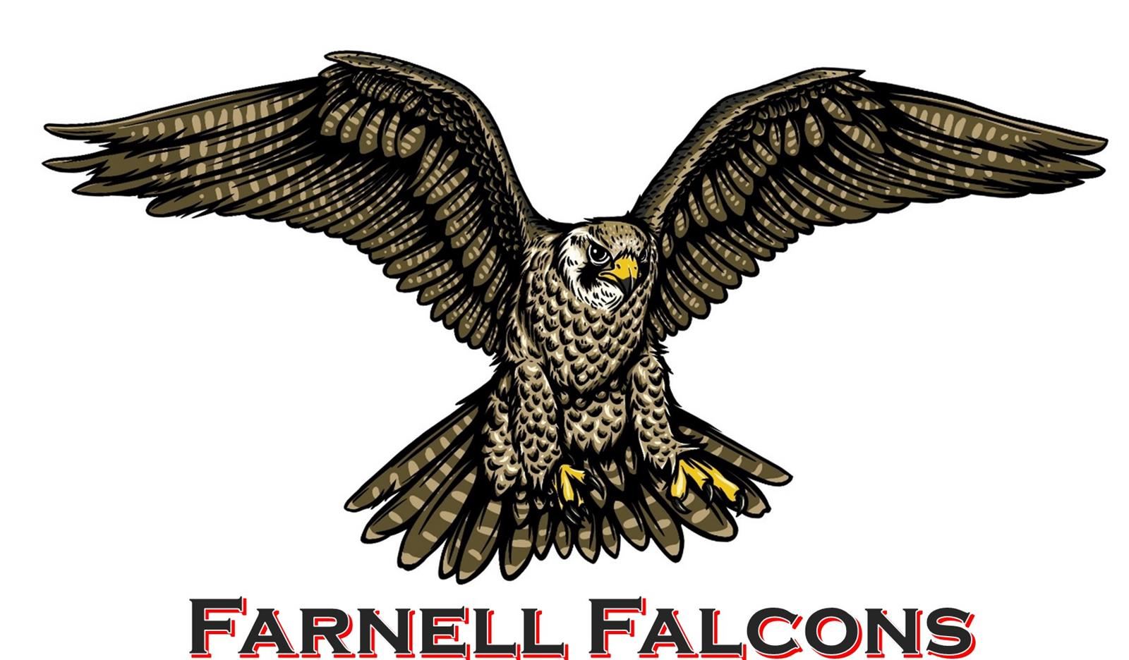  Welcome Falcon